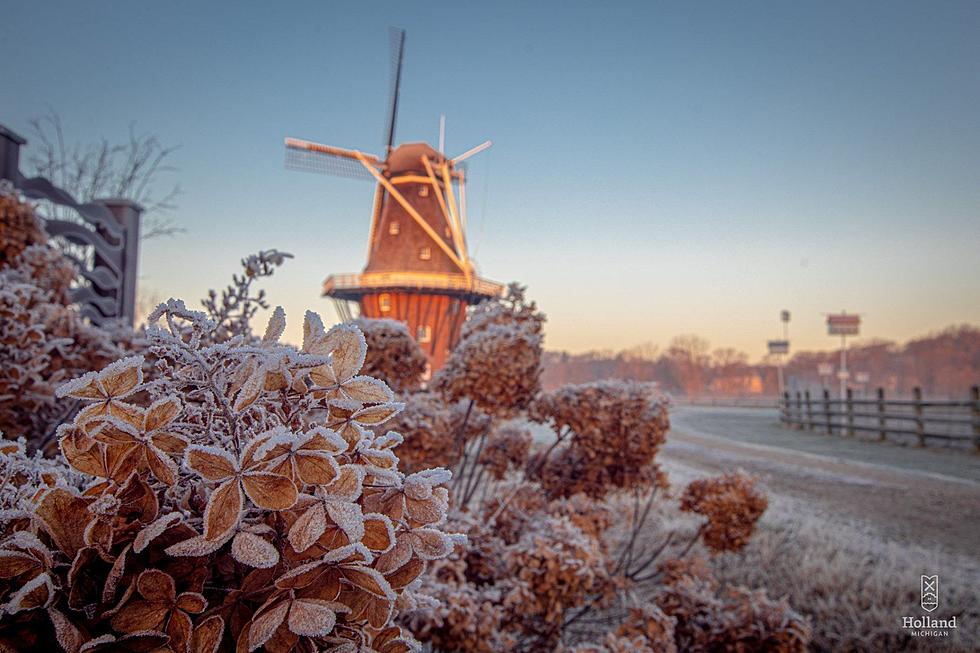 3 Reasons You’ll Want To Explore Playful Holland In The Winter