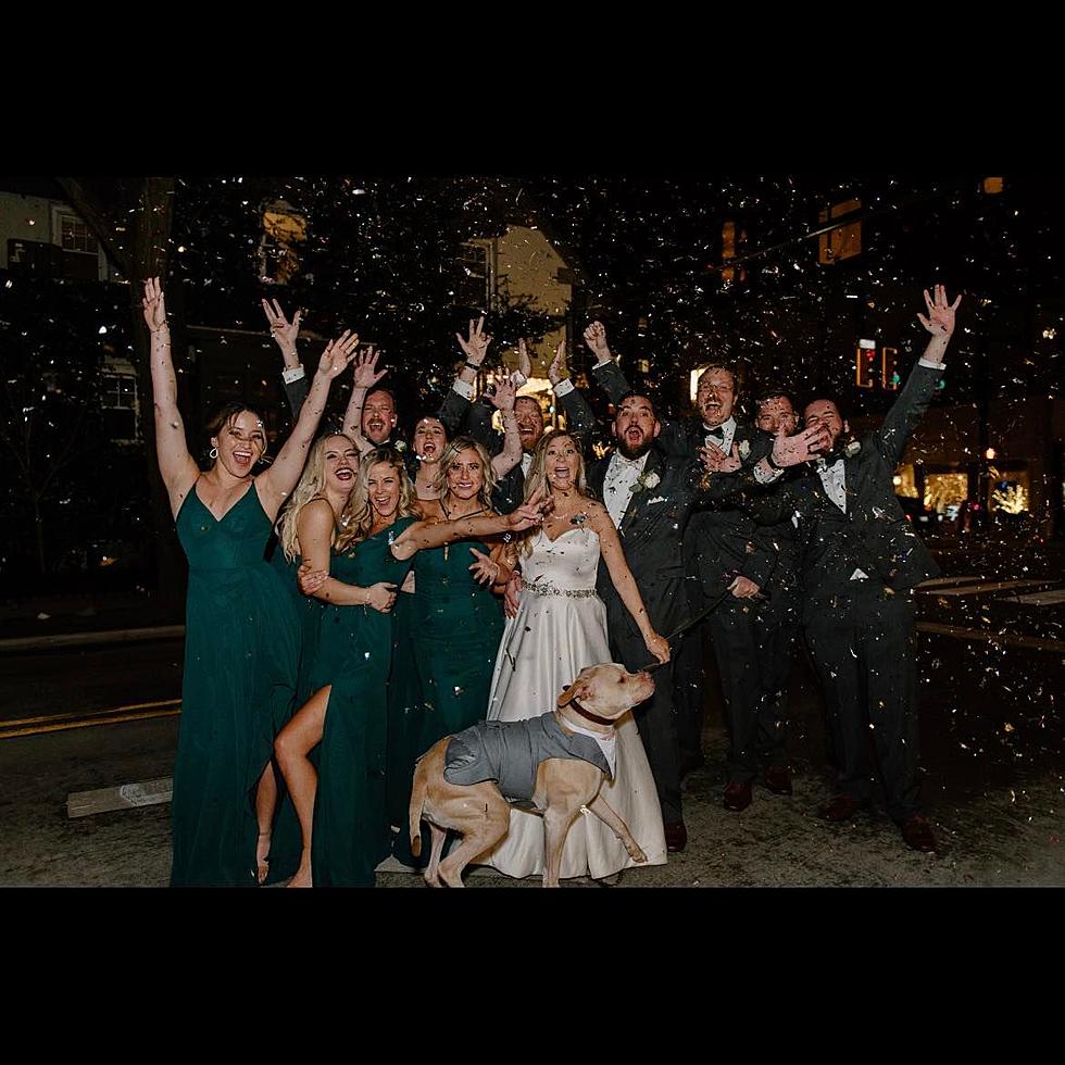 ‘Best Man’ Dog Steals The Show At Michigan Couple’s Wedding