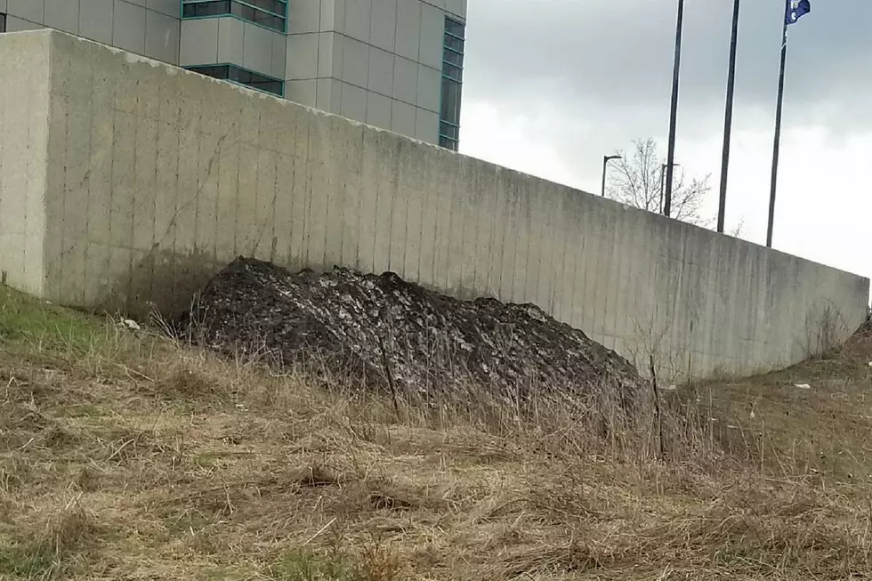 Is This the Last Snowbank in Grand Rapids?
