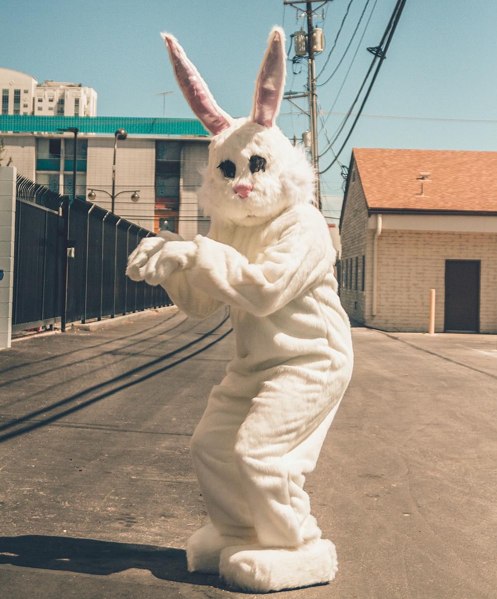 &#8216;FEAR THE BUNNY&#8217; Is Just One Of Many Adult Easter Egg Hunts