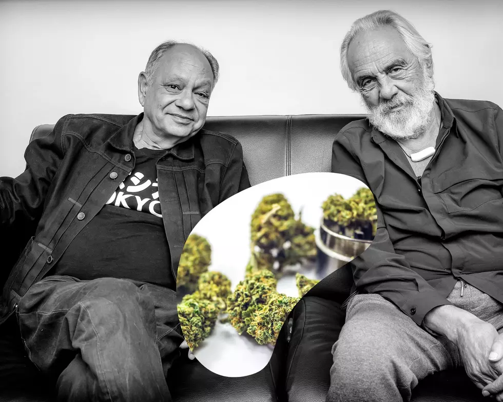 Cheech And Chong Bringing Their Cannabis Products To Michigan