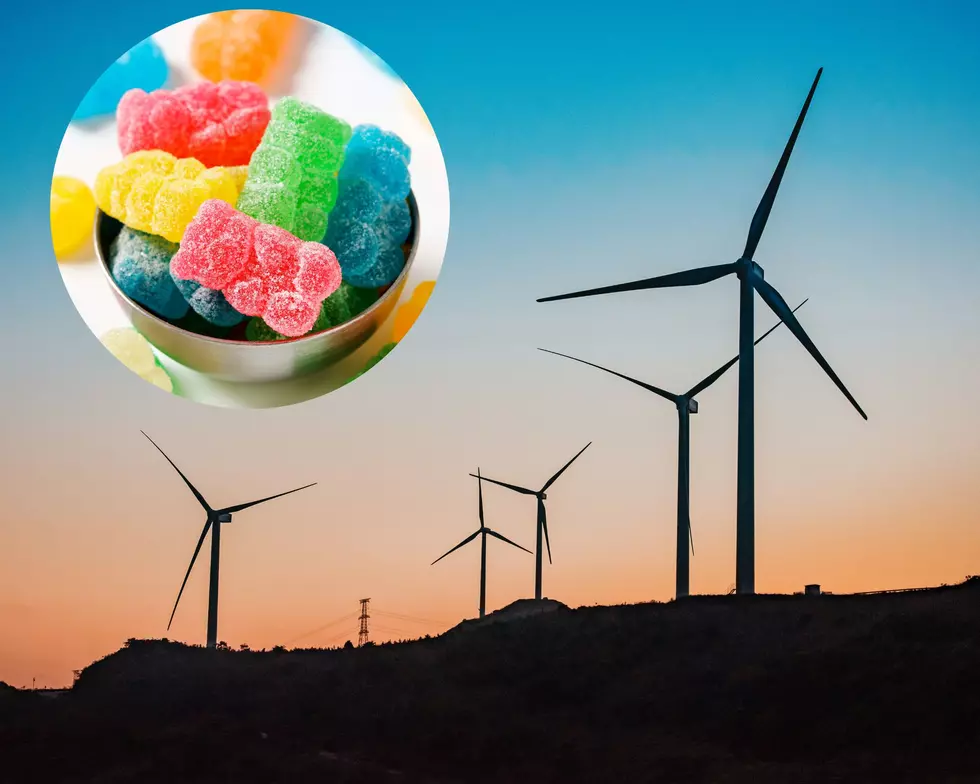 MSU Says They Can Recycle Windmill Blades Into Gummy Bears