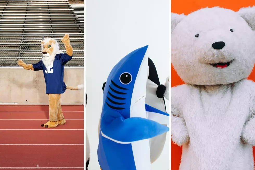 The 10 Most Unique Michigan High School Mascots