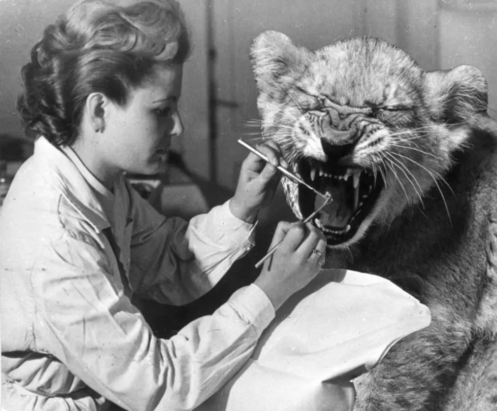 Your Dentist May Soon Become Extinct