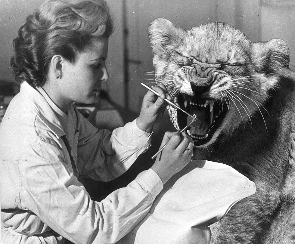 Your Dentist May Soon Become Extinct