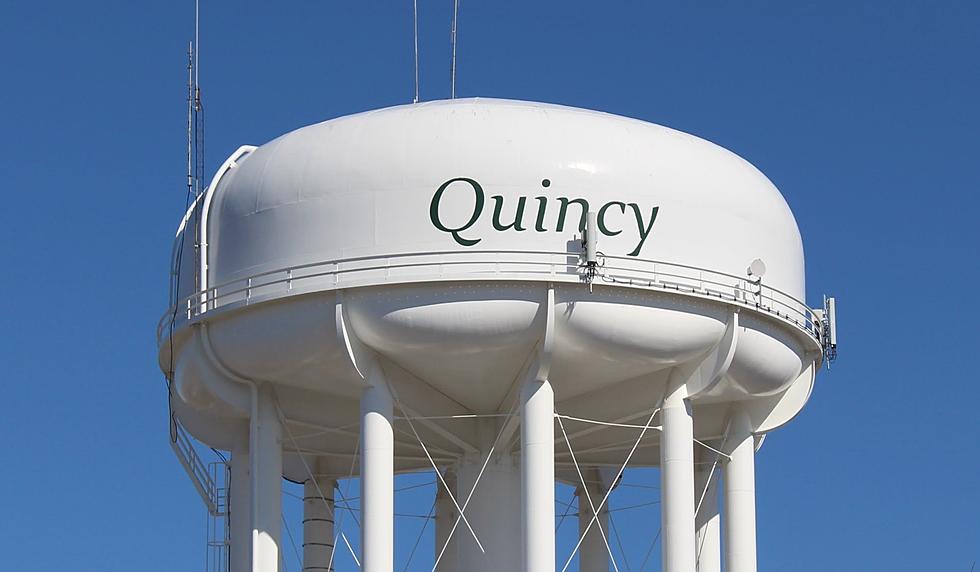 What is “Wild Quincy”?
