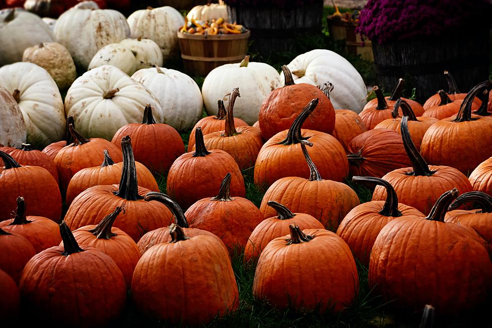 35 Creative Bucket List Items to do This Fall