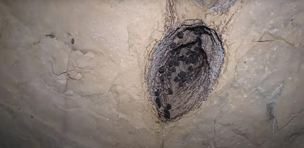 Video shows explores going deep into a famous Missouri Cave