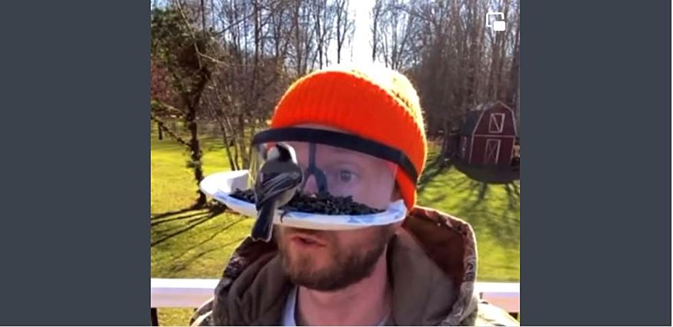 Man Builds Amazing Bird Watching Visor and It Surprisingly Works