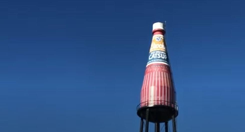 The World’s Largest Catsup Bottle is A Water Tower in Illinois