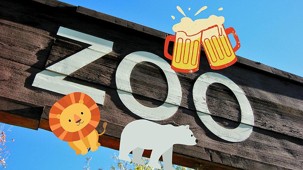150 craft brews to try at a special night at a Zoo in Illinois