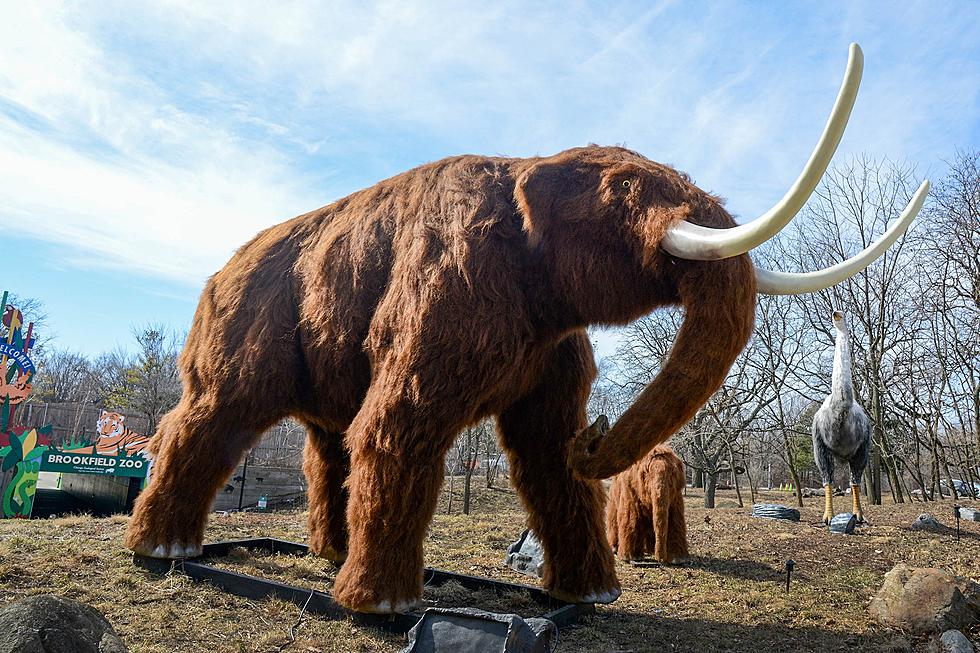 Ice Age Giants Coming to Illinois
