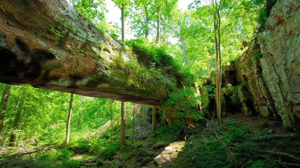 A Bridge is the Most Spectacular Natural Wonder in Illinois