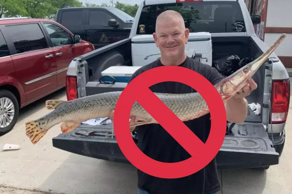 Nevermind Fisherman Did NOT Break Missouri Fish Record