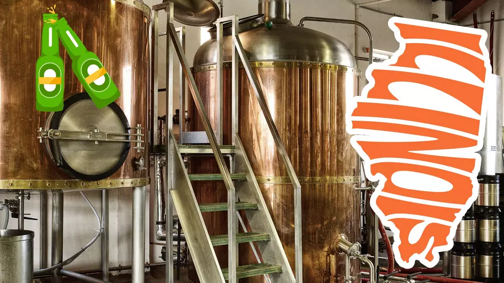 One of the Best Brewery Tours in the US is here in Illinois