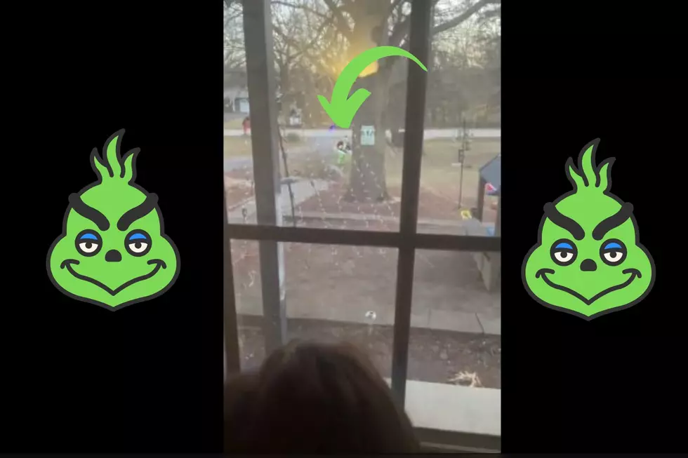 Watch As Adorable Girl From Illinois Tires To Capture The Grinch