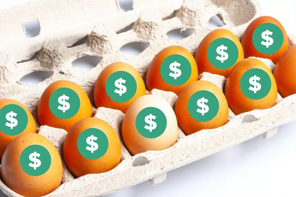 Soaring Egg Prices Continue to Rise in Missouri &#8211; But Why?