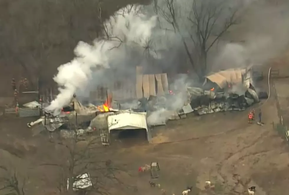 5 Goats Sadly Perished in this Shiloh, Illinois Barn Fire