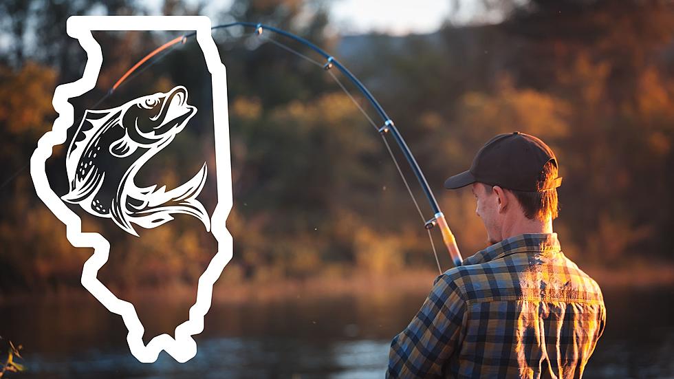 Ready to Fish? Here are the Best Fishing Spots in Illinois