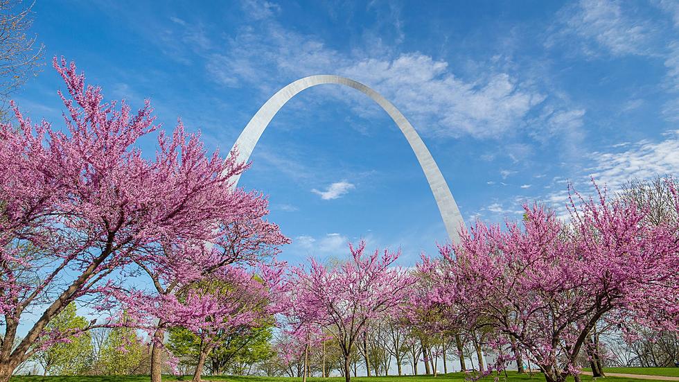 A Travel Website says to visit St. Louis during the Spring Season