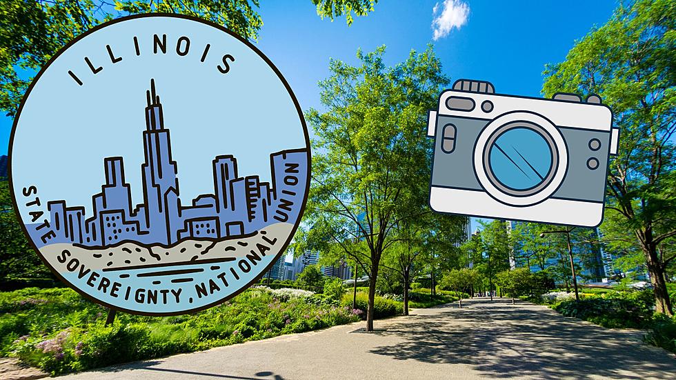 Illinois is home to one of the Most Photographed Parks in the US