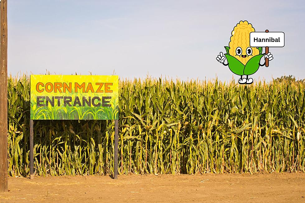 Local Corn Maze in Missouri – Voted Best – Shows off 2023 Design