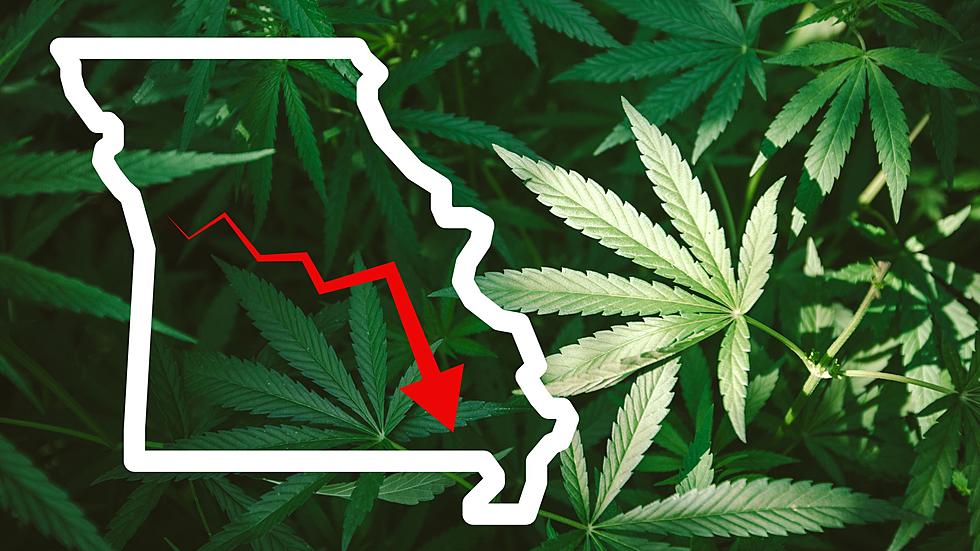 Uh Oh...Legalized Marijuana in Missouri is already Trending Down