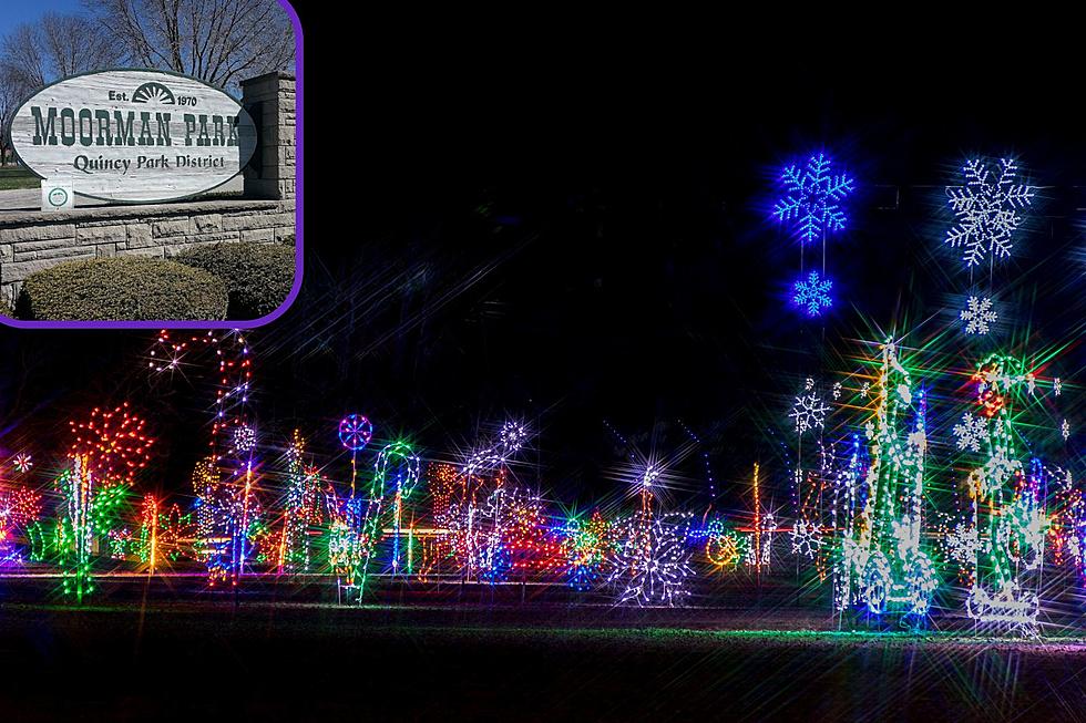 Festival of Lights in Quincy is Set to Open Thanksgiving Night