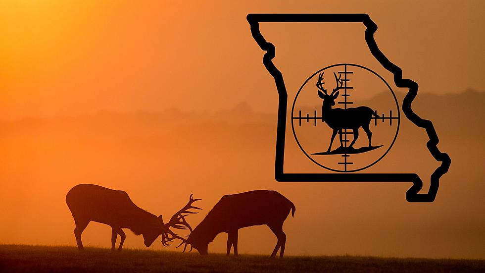 Which County in Missouri Hunted the MOST Deer this Season?