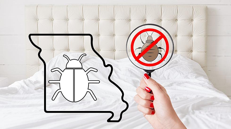 Shocking data reveals Missouri is a Top State for Bed Bugs