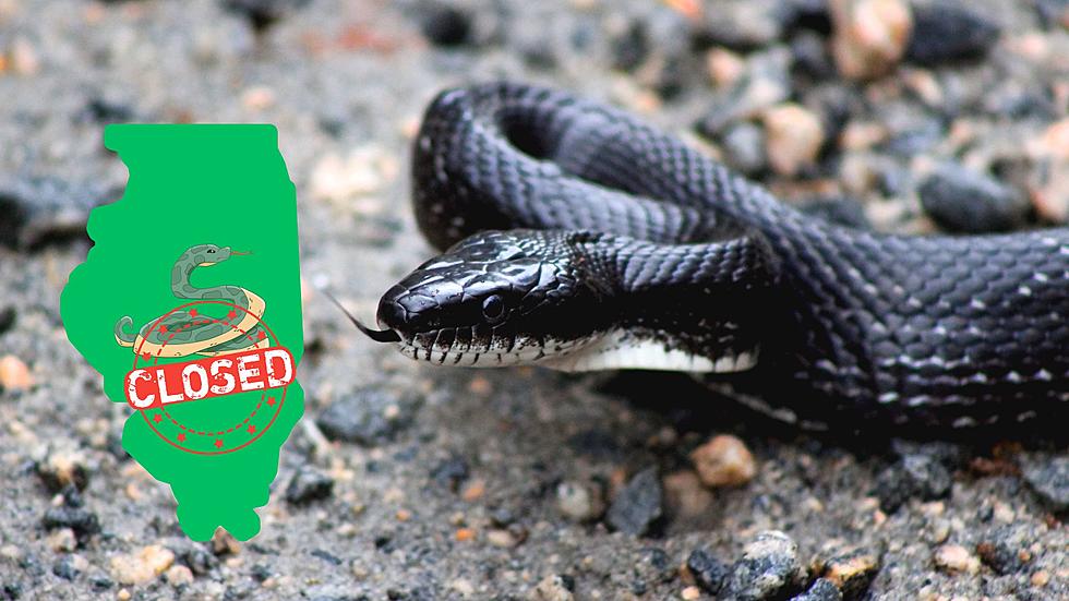 Why has the Famous "Snake Road" in Illinois Closed Early? 