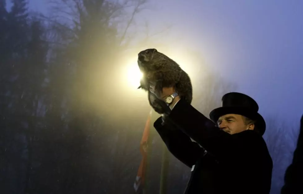 Punxsutawney Phil Is a Fraud and Must Be Dealt With