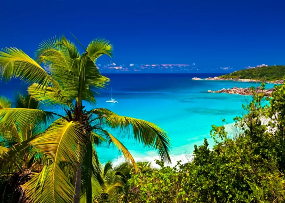 Win a Trip to Jamaica!