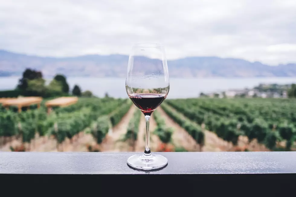 Get Paid To Drink Wine and Live At A Winery