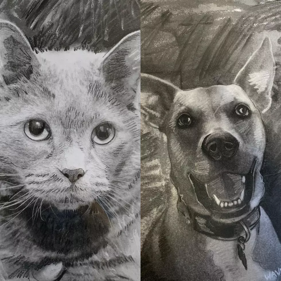 Amazing Pet Portraits by Local Artist for as Low as $20!