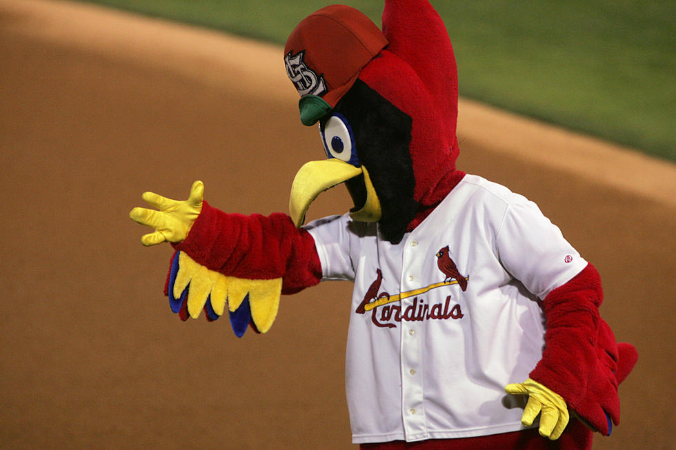 St. Louis Cardinals Release Freebies For Entire Season