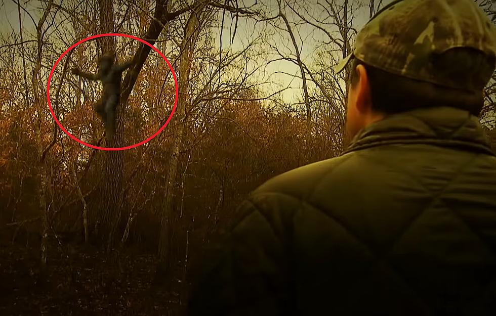 Man Claims He Saw a Baby Bigfoot in the Missouri Ozarks