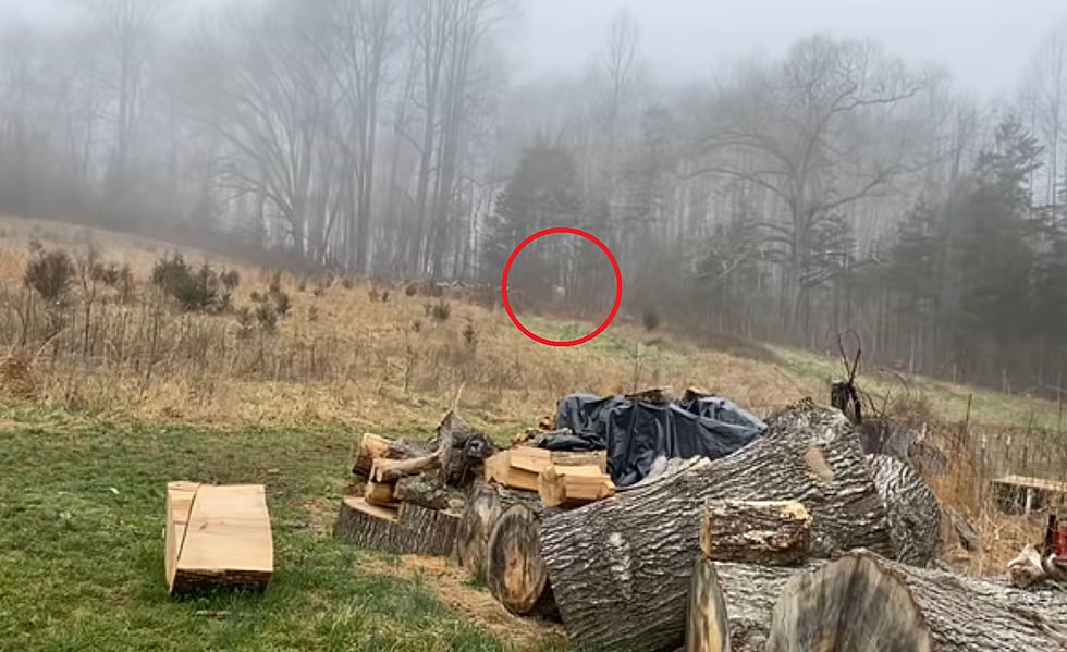 Homesteader Security Cam Shows Creepy Ghost-Like Image in Fog
