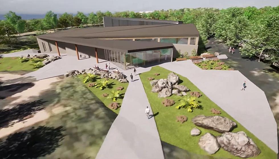 Kansas City Zoo Getting a New 600,000-Gallon Aquarium in 2023