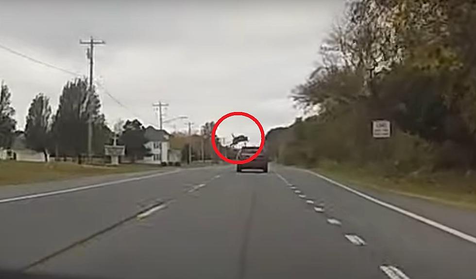 Driver Dashcam Captures Incredible Deer Leap Over Moving Car