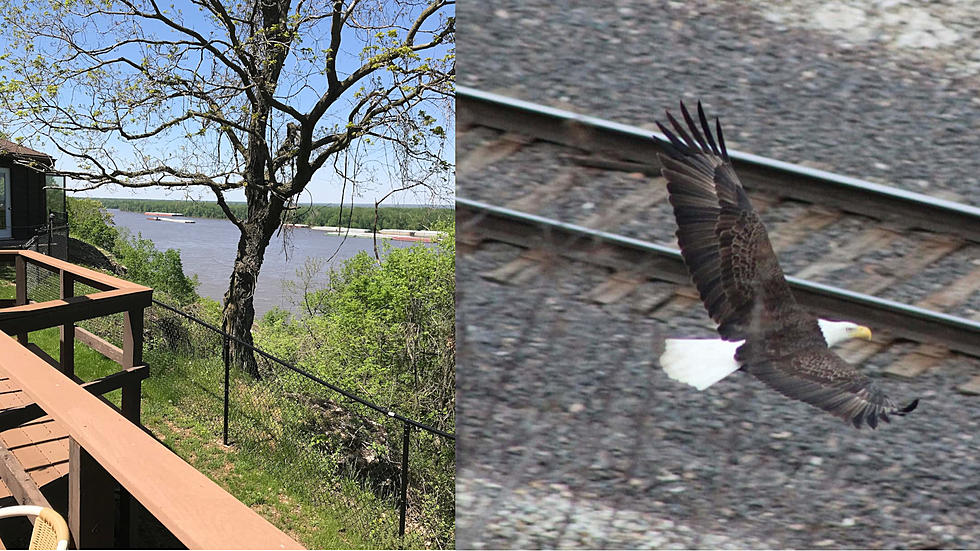 Hannibal Airbnb Has Mississippi River and Sometimes Eagle Views