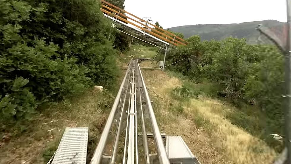 There Really is an Alpine Coaster Coming to Illinois