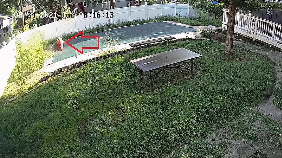 Security Video Shows Missouri Dad Cutting Grass, Falls into Pool