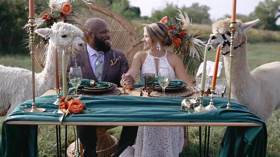 Did You Know You Can Have a Missouri Wedding with Alpacas?