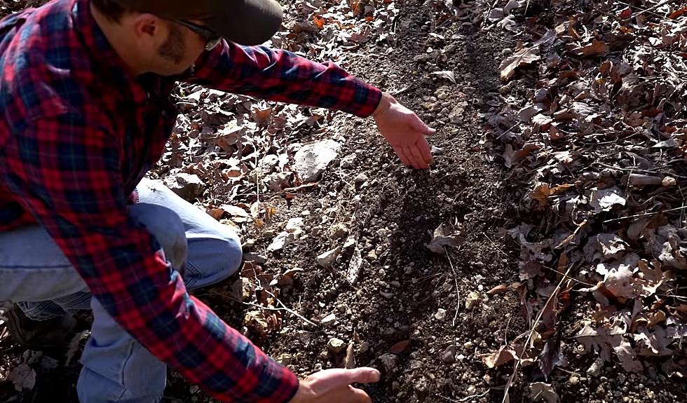 Documentary Claims Bigfoot Hiding in Missouri’s Mark Twain Forest