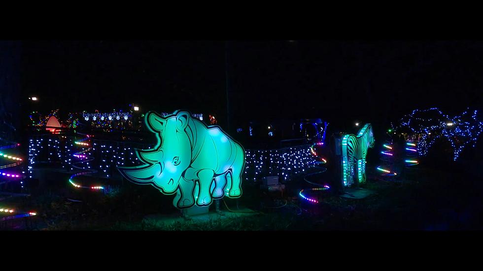 See the ‘Wild’ Christmas Lights on Display at the St. Louis Zoo