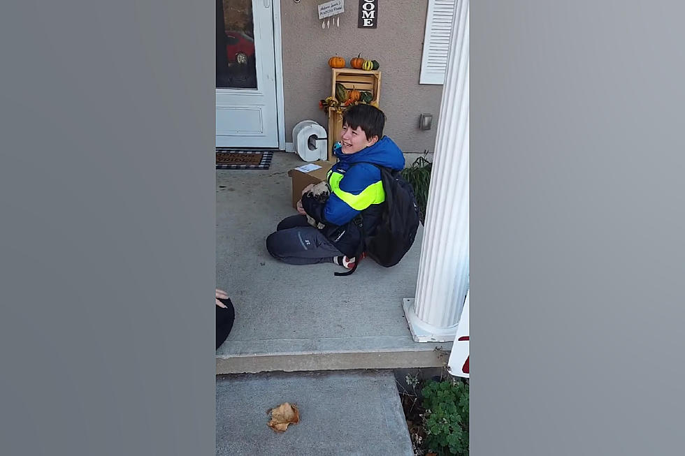 Watch Sweet Moment Autistic Missouri Boy Gets Dog of His Dreams