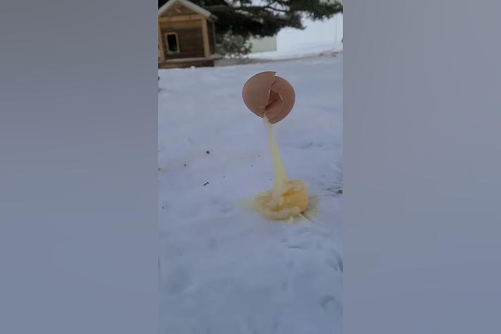 How Cold is it? Dude Shares Video of a Frozen Cracked Egg