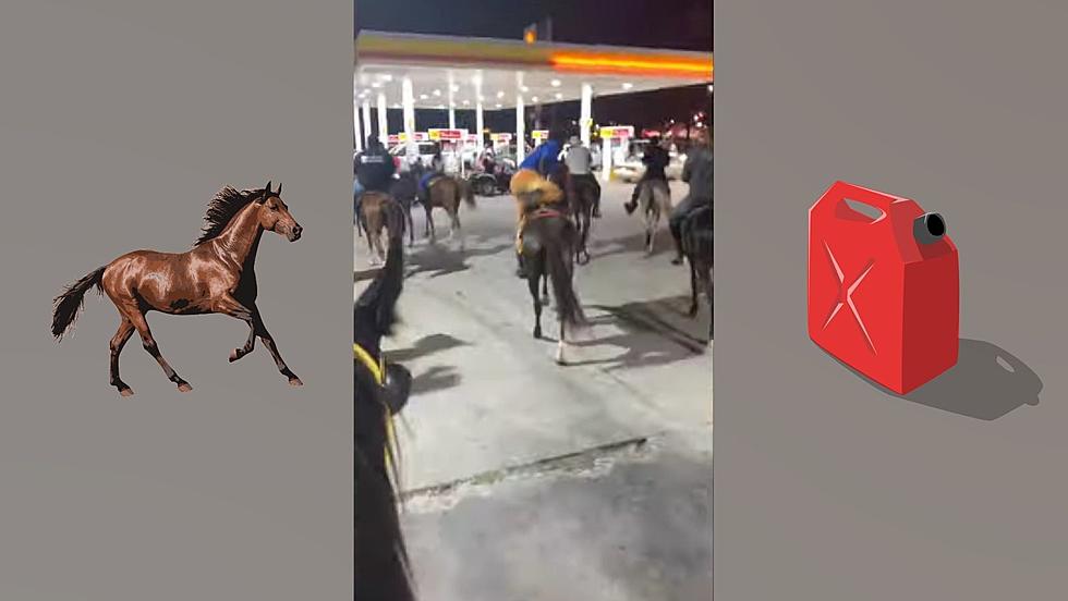 Watch a Group of Riders Mock Sky-High Gas Prices with Horses