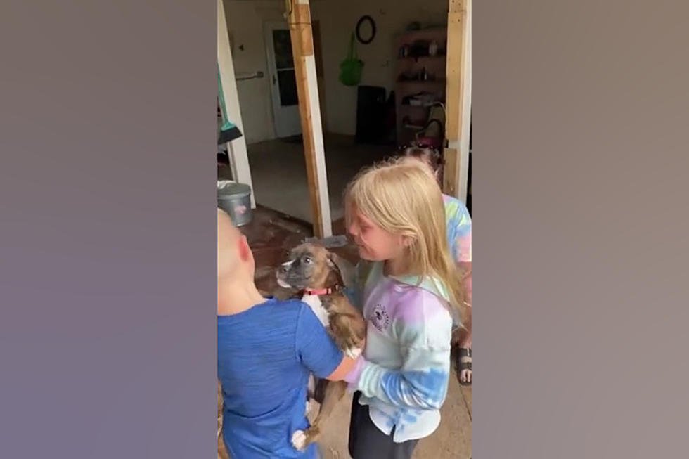 Watch Midwestern Kids Get Surprised with their First Puppy